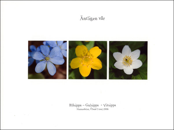 antligen-var1.jpg